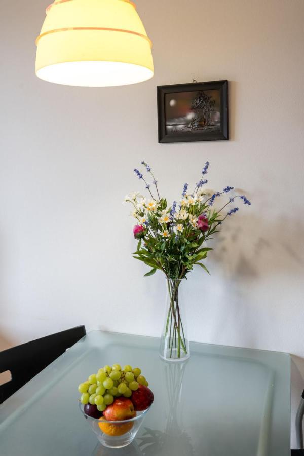 Apartment Slunecni Stran IV By Interhome Janské Lázně Extérieur photo